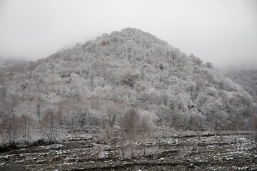 Winter trees in mountains covered with fresh snow. Beautiful landscape with branches of trees covered in snow. Mountain road in Caucasus. Azerbaijan