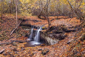 Daudas waterfall in the forest full of fallen autumn lraves, Latvia - obrazy, fototapety, plakaty