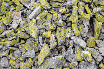 Yellow lichen texture on grey natural sharp irregular stones of various types background