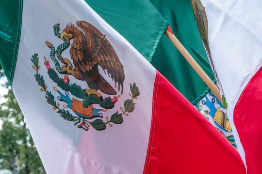 waving mexican flag