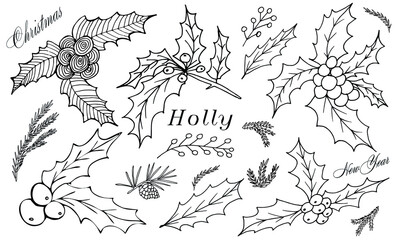 Hand drawn Christmas isolated set of holly branches. Monochrome  branches  in vintage style. Vector illustration with elements decorations for  greeting cards, christmas posters and wrapping.