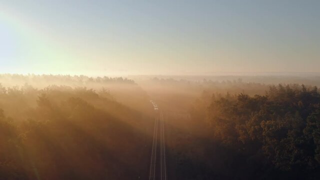 Aerial view of electric passenger train passing through the autumn foggy forest at sunny morning.
