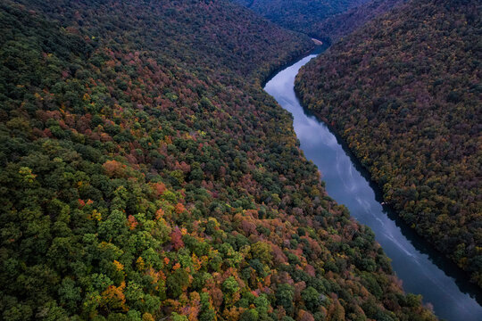 Cheat River In Autumn