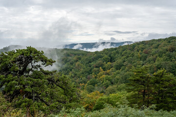 Fototapeta na wymiar Shenandoah National Park Overlook