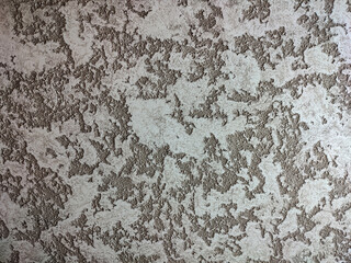 The rough texture of the cement in detail.