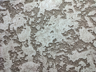 The rough texture of the cement in detail.