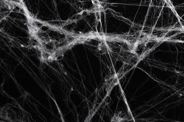 Halloween decoration concept. Artificial spider web decoration on black background