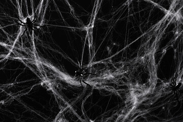 Halloween decoration concept. Artificial spider web decoration with spiders on black background