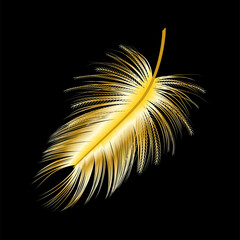 Gold feather isolated on black.Vector illustration.