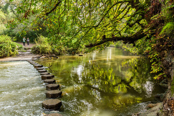 Stepping stones on river Mole in Box Hill Surrey. The Stepping stone is an iconic point on the Box...