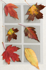 set of leaves