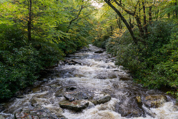 Mountain River Centered and Flowing in Appalachia