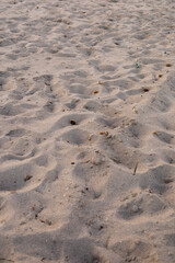 sand from the beach creating small dunes and soiled by marine debris