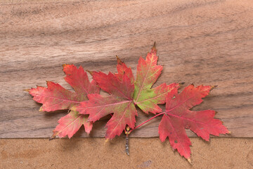 red maple leaves on a wooden background