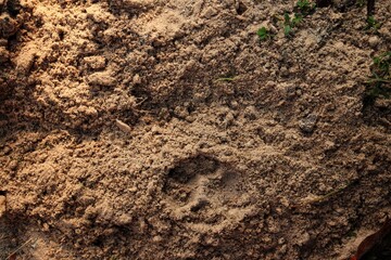Close up of brown sand with shadow background or texture