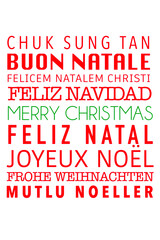 Merry Christmas written in many different languages.