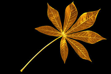Golden leaves black background isolated closeup, yellow metal cassava leaf, gold flower decoration,...