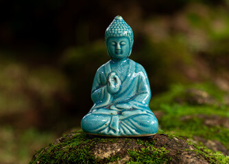 Beautiful Blue Buddha Statue in a Garden