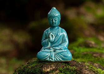 Beautiful Blue Buddha Statue in a Garden