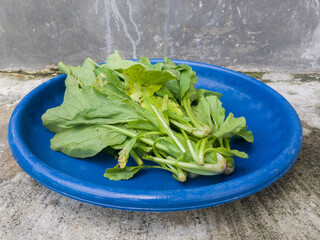 mustard greens that are not fresh and wilted