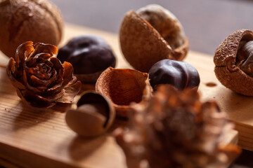 おしゃれな木の実　
アンティークな自然素材　