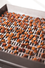 Fototapeta premium The process of cooking dry yellow cherries in an electric automatic dryer at home.