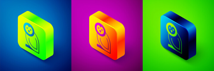 Isometric Owl bird icon isolated on blue, purple and green background. Animal symbol. Square button. Vector