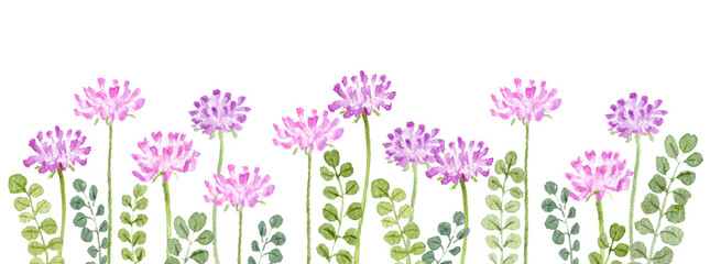 蓮華の水彩イラスト