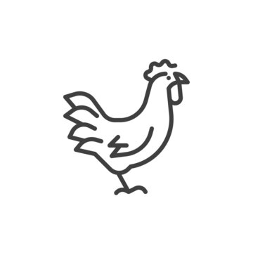 Rooster bird line icon