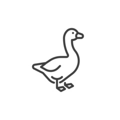 Goose bird line icon