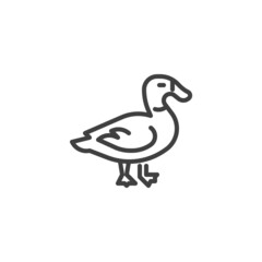 Duck bird line icon