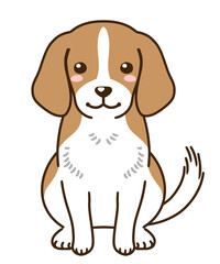 ビーグル（レッドホワイト）