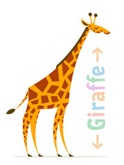 Vector cartoon giraffe standing in side view isolated on white background