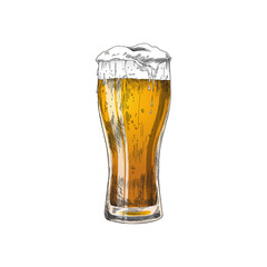 Colored image of beer in glass vintage engraving vector illustration isolated.