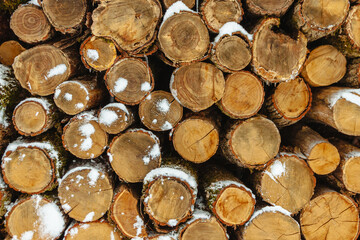 The trunks of the felled trees are put together. Covered with snow. Background image.