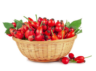 Rose hip in basket isolated on a white background