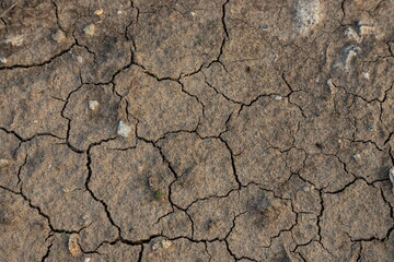 Dry, cracked dirt texture for creative background
