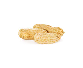  peanut on a white background.