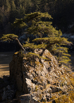 autumn in the mountains