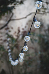 Luces naturaleza minimalismo Lights nature minimalism