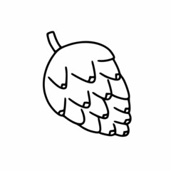 Fir cone in style of doodle. Coloring book for kids. Vector line icon.