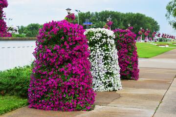 Novi Becej-Tiski quay Serbia is one of the most beautiful