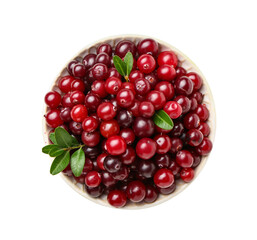Bowl of ripe cranberries on white background