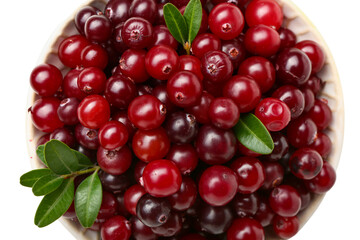 Bowl of ripe cranberries on white background, closeup