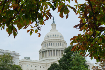 Detail view historic Capitol building with dome and columns in Fall Autumn tree leaves park in...