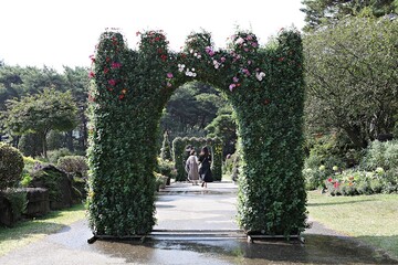한국공원에핀꽃입니다