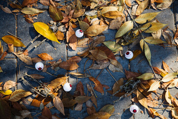 halloween background of leaves, skeletons 