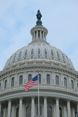 Detail view of historic Capitol building with dome and columns in green tree park in Washington DC,...