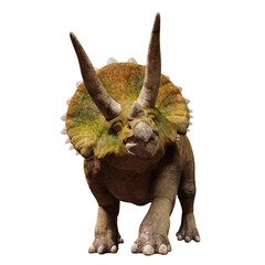 Triceratops horridus, dinosaur isolated on white background, front view