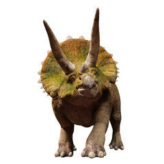 Triceratops horridus, dinosaur isolated on white background, front view © dottedyeti